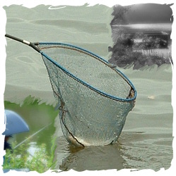 Young Anglers Project